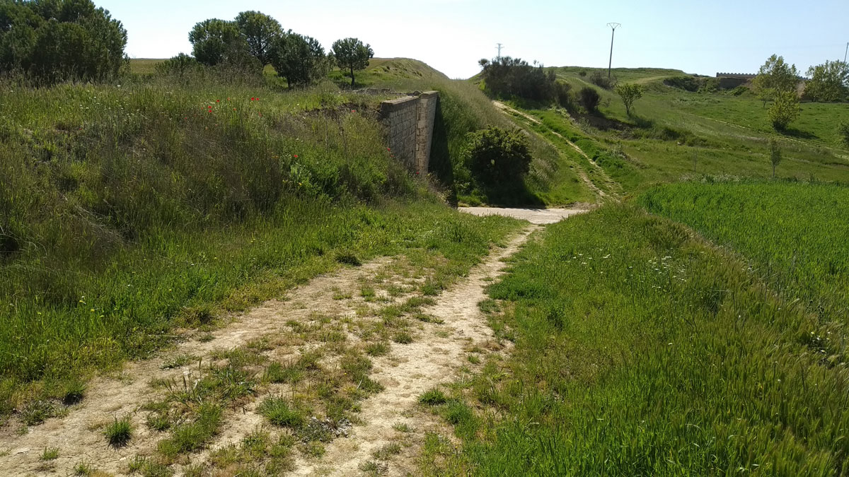 TrenBurra327