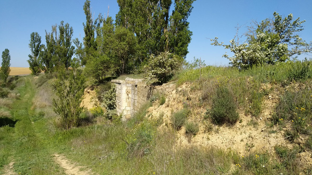 TrenBurra329