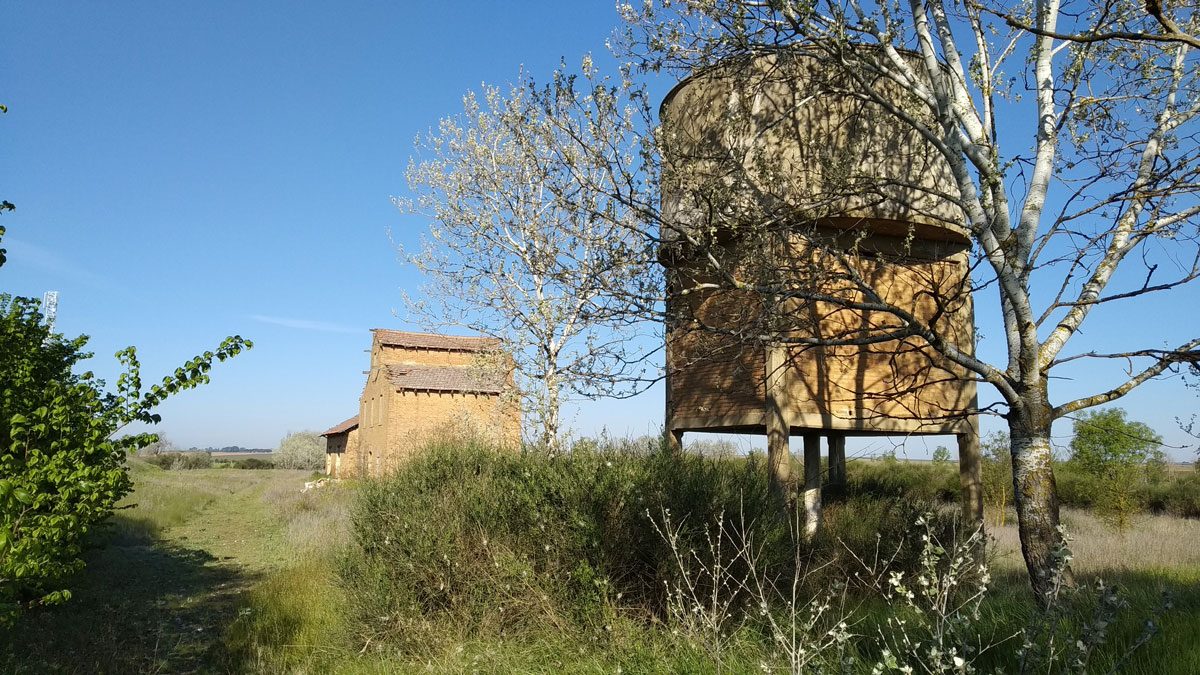 TrenBurra333
