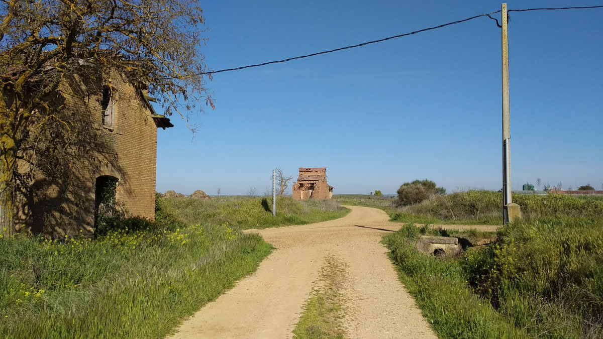 TrenBurra344