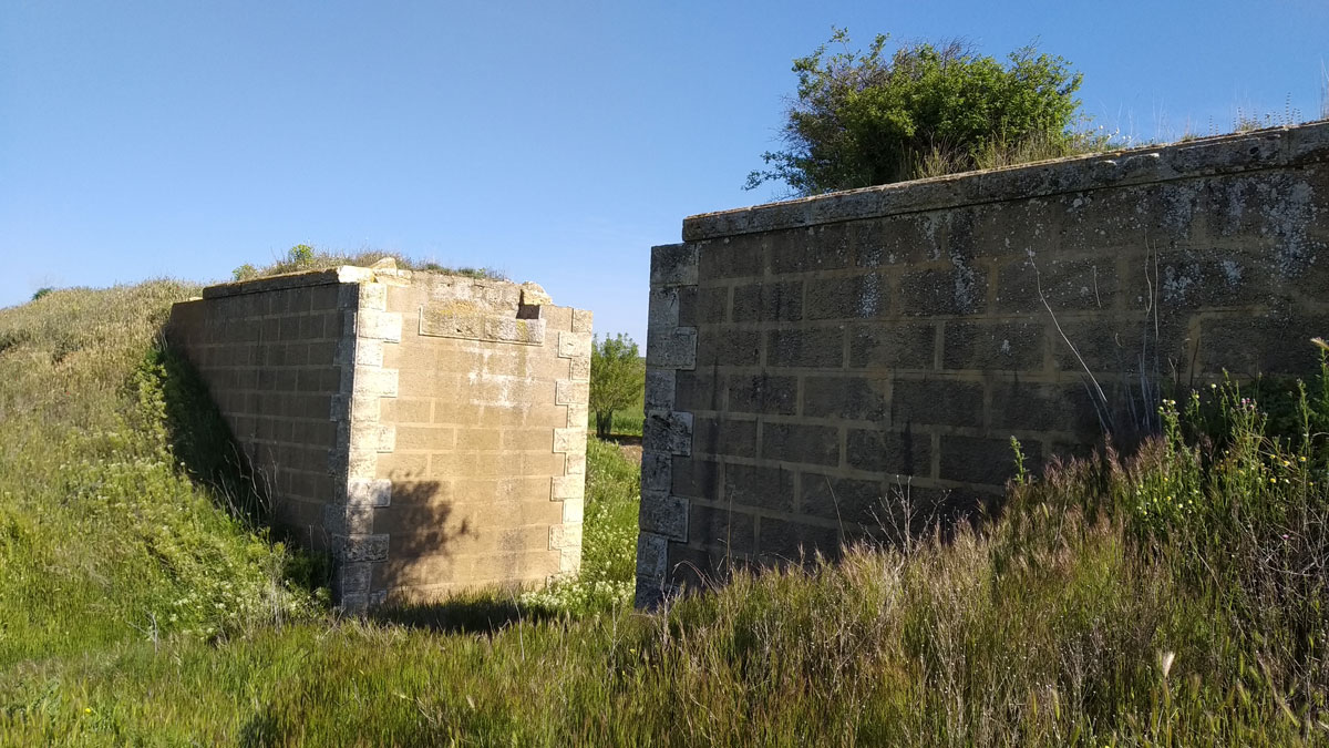 TrenBurra348