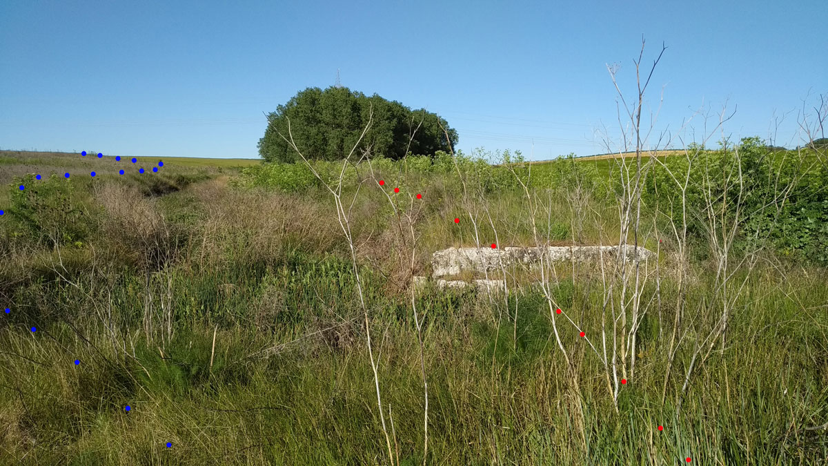 TrenBurra362