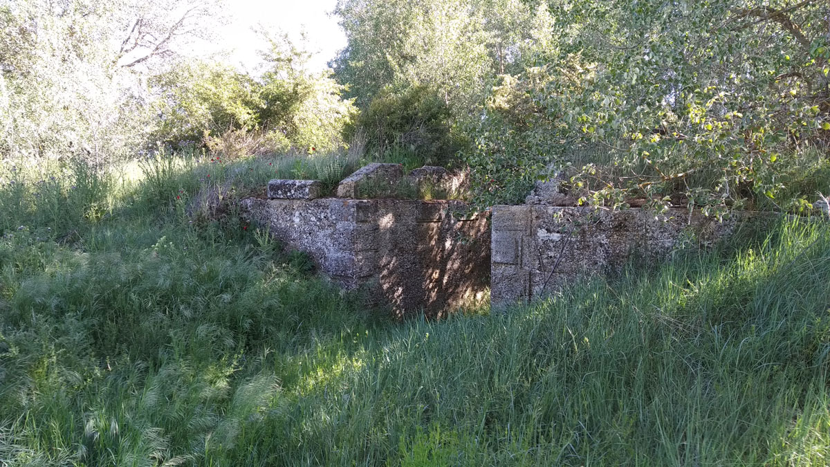 TrenBurra371