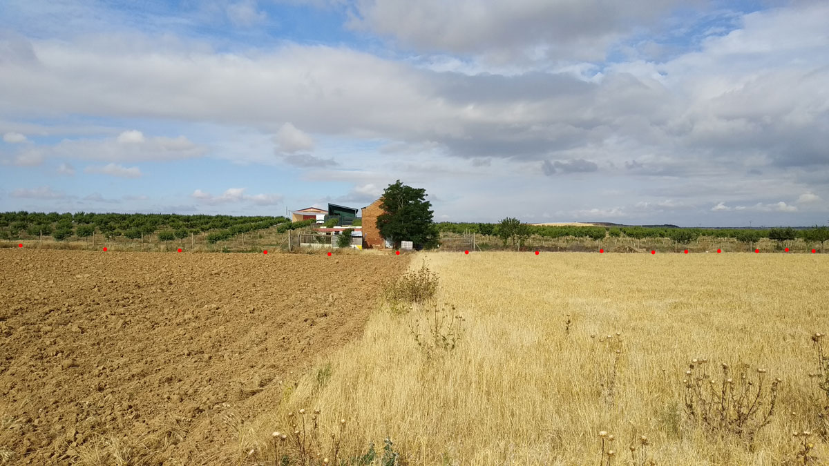 TrenBurra388