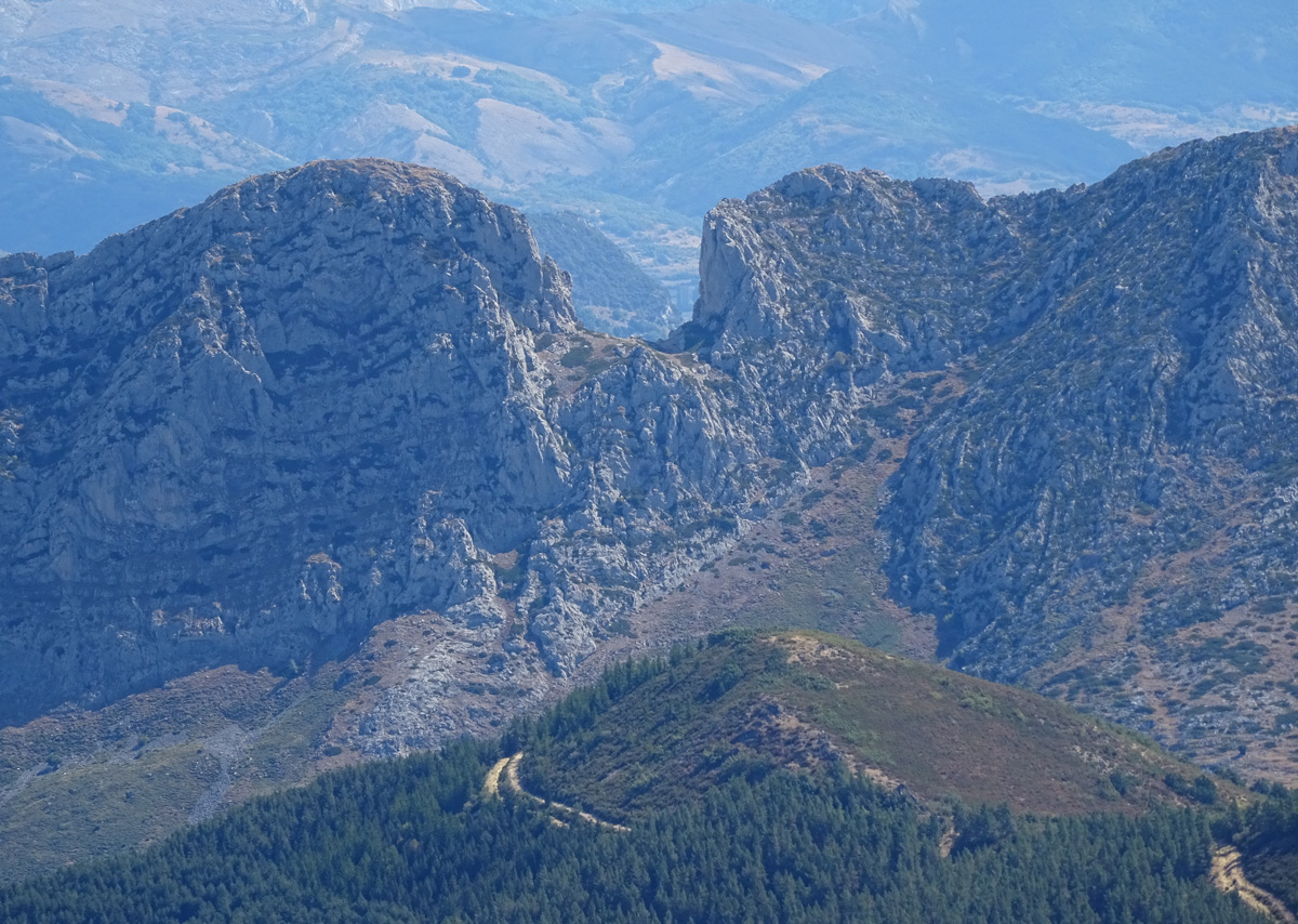 forcadaDet