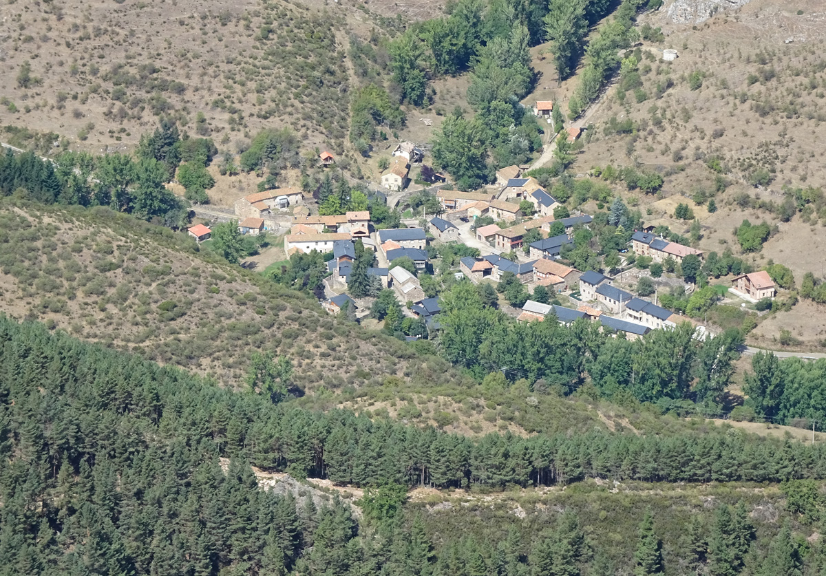 redilluera