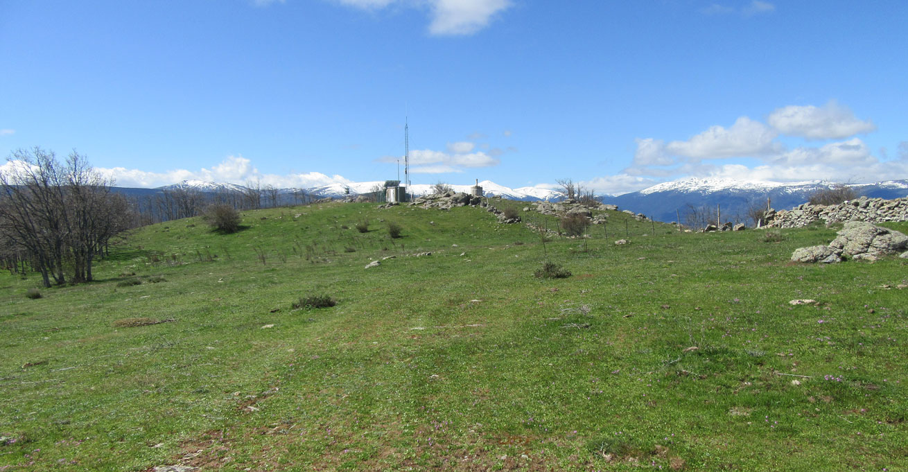 25espartal15