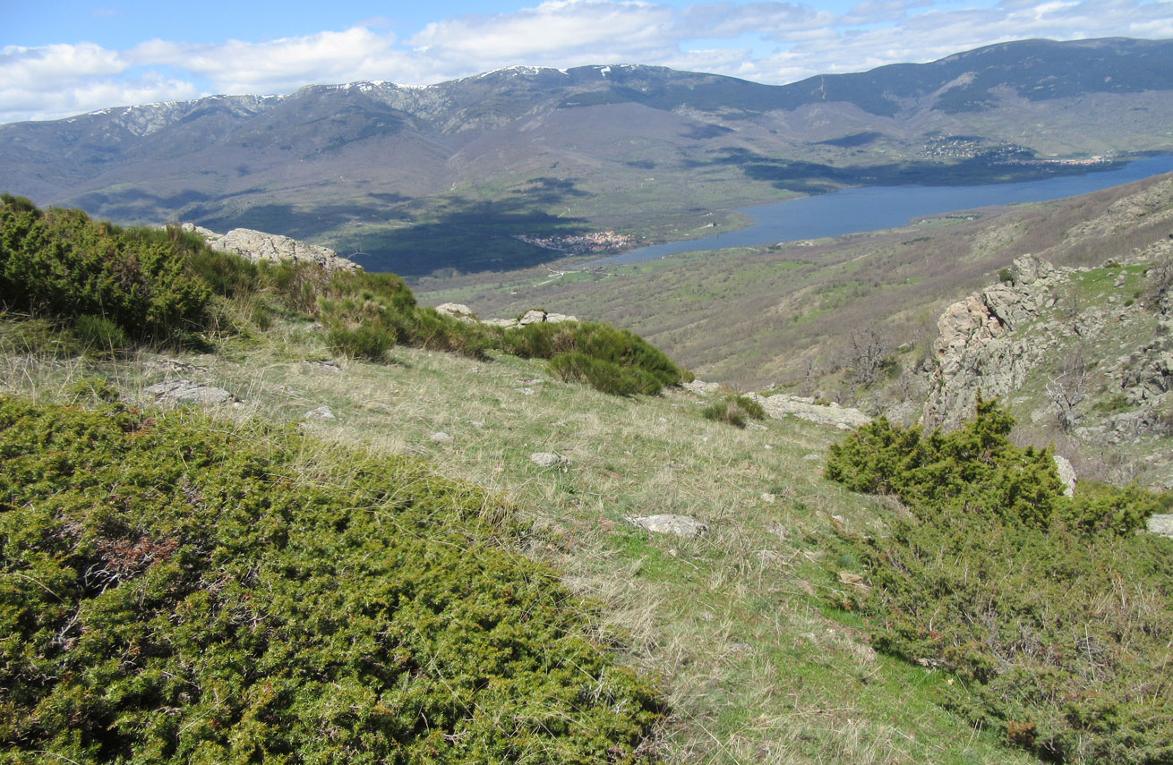 25espartal27