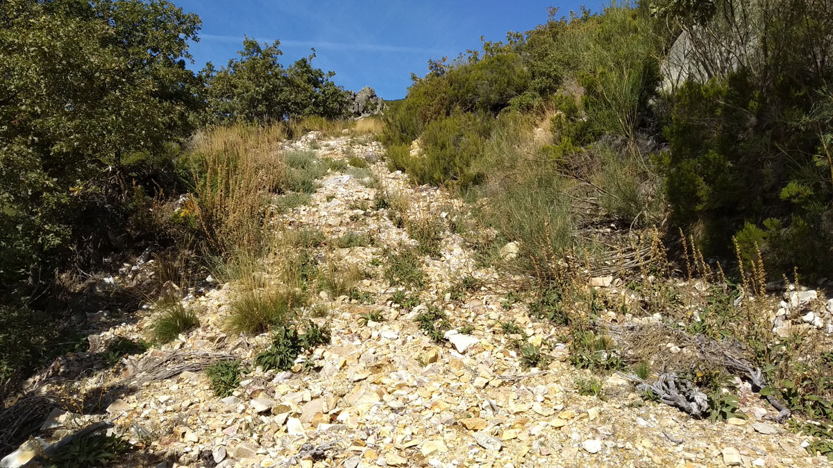 mtbTruchillas03